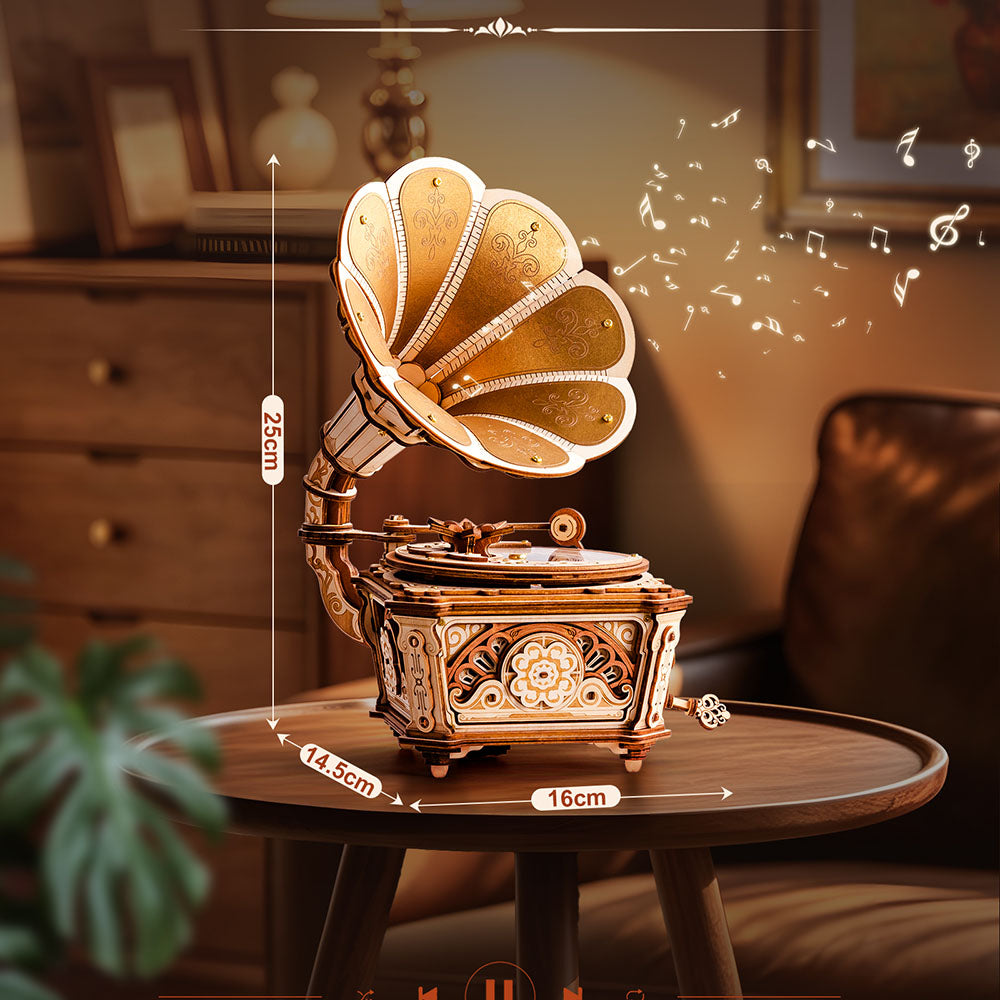 Diva Gramophone Music Box Wooden 3D Puzzle AMK82