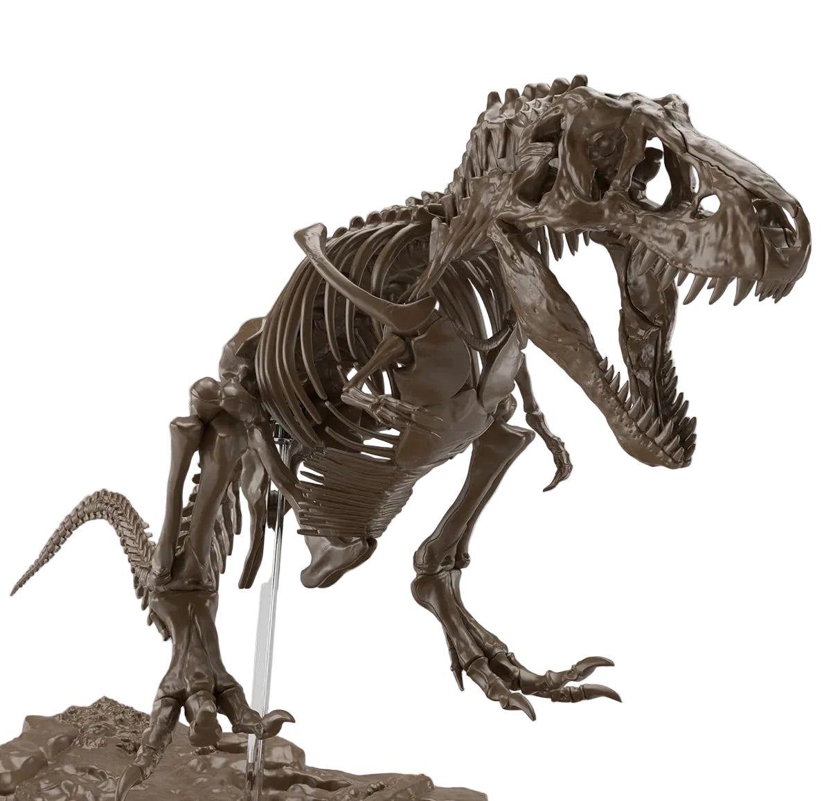 Imaginärer Skelett-Tyrannosaurus 1/32 Modellbausatz