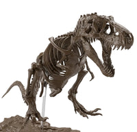 Imaginärer Skelett-Tyrannosaurus 1/32 Modellbausatz
