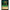 Ravensburger Beast - Wolfsbane (70/204) (The First Chapter) by LAB7 Malta, Europe