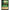 Ravensburger Emerald Chromicon (100/204) (Shimmering Skies) by LAB7 Malta, Europe