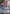 Ravensburger Lilo - Best Explorer Ever (Enchanted) (238/204) (Fabled) by LAB7 Malta, Europe