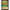 Ravensburger Sudden Chill (98/204) (The First Chapter) by LAB7 Malta, Europe