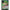 Dragon Ball Super: Masters SS3 Broly, Rampaging Express (BT24 - 074) (Beyond Generations) by LAB7 Malta, Europe