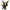 Funko Pokémon Umbreon Pop! Vinyl Figure 9cm in Malta | LAB7