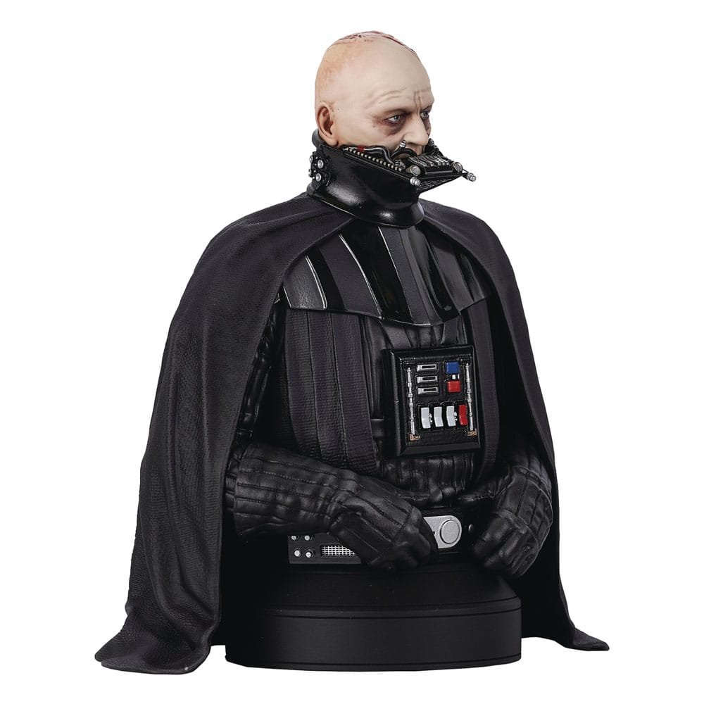 Gentle Giant Star Wars Darth Vader Unhelmeted Mini Bust 1/6 by LAB7 Malta, Europe