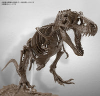 Bandai Imaginary Skeleton Tyrannosaurus 1/32 Model Kit by LAB7 Malta, Europe