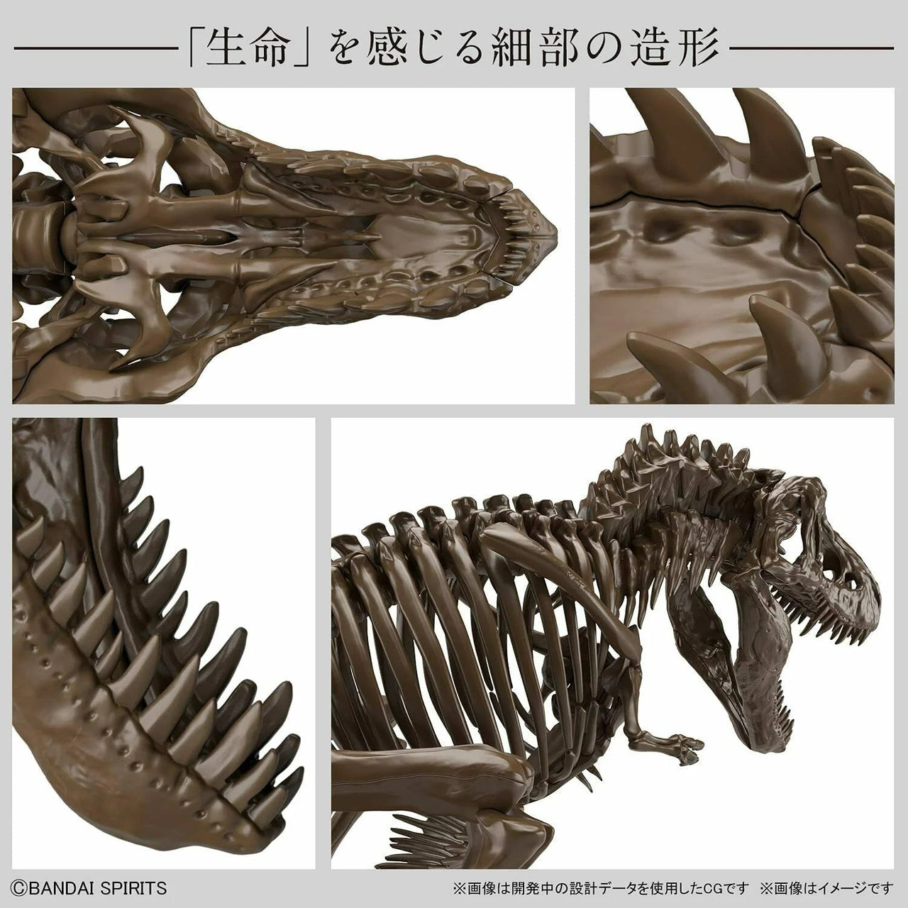 Bandai Imaginary Skeleton Tyrannosaurus 1/32 Model Kit by LAB7 Malta, Europe