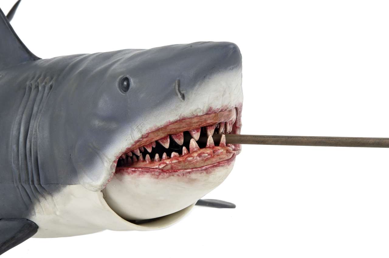 NECA Jaws 50th Anniversary 12" Action Figure – NECA Bruce Collectible by LAB7 Malta, Europe