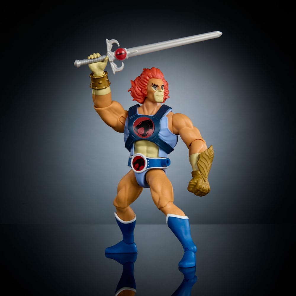 Mattel Lion - O Action Figure 14cm – MOTU x ThunderCats Crossover by LAB7 Malta, Europe