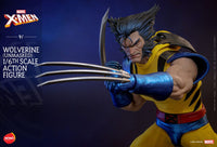 Hono Studio Marvel X - Men Wolverine (Unmasked) 1/6 Scale Action Figure by LAB7 Malta, Europe