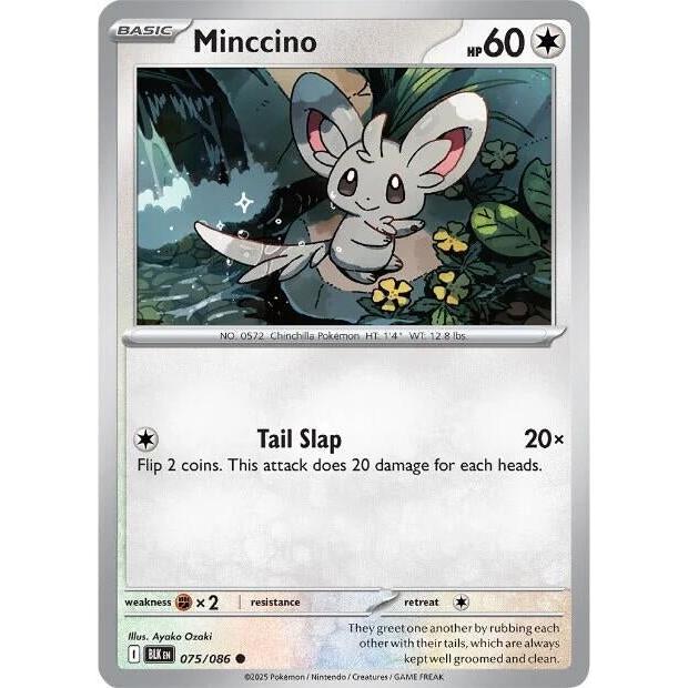 Minccino (075/086) (SV: Black Bolt) in Malta | LAB7