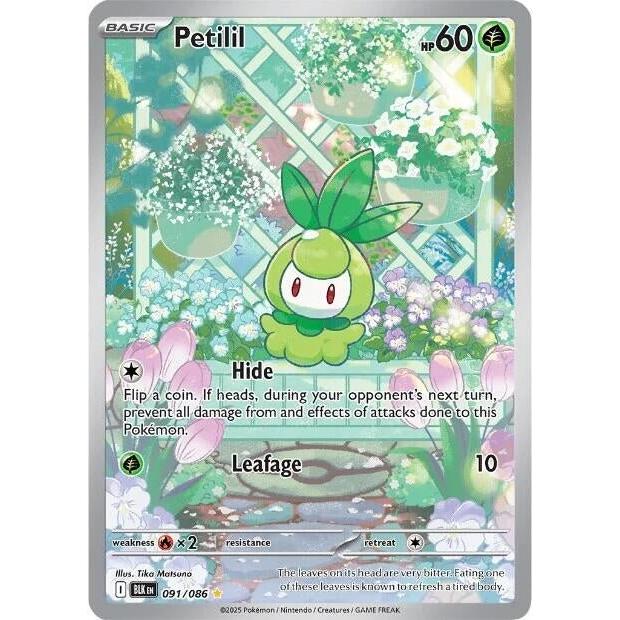 Pokemon Petilil (091/086) (SV: Black Bolt) by LAB7 Malta, Europe