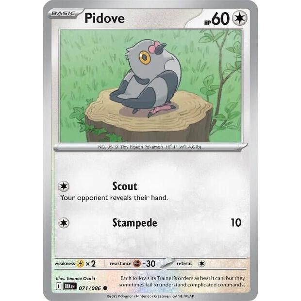 Pokemon Pidove (071/086) (SV: Black Bolt) by LAB7 Malta, Europe