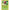 Pokemon Orbeetle (020/196) (SWSH11: Lost Origin) by LAB7 Malta, Europe