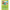 Pokemon Roserade (015/196) (SWSH11: Lost Origin) by LAB7 Malta, Europe