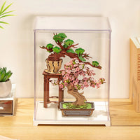 Rolife Clear Display Case Portrait M DF05L by LAB7 Malta, Europe