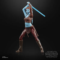 Hasbro Star Wars Episode II Black Series Action Figure '22 Aayla Secura by LAB7 Malta, Europe
