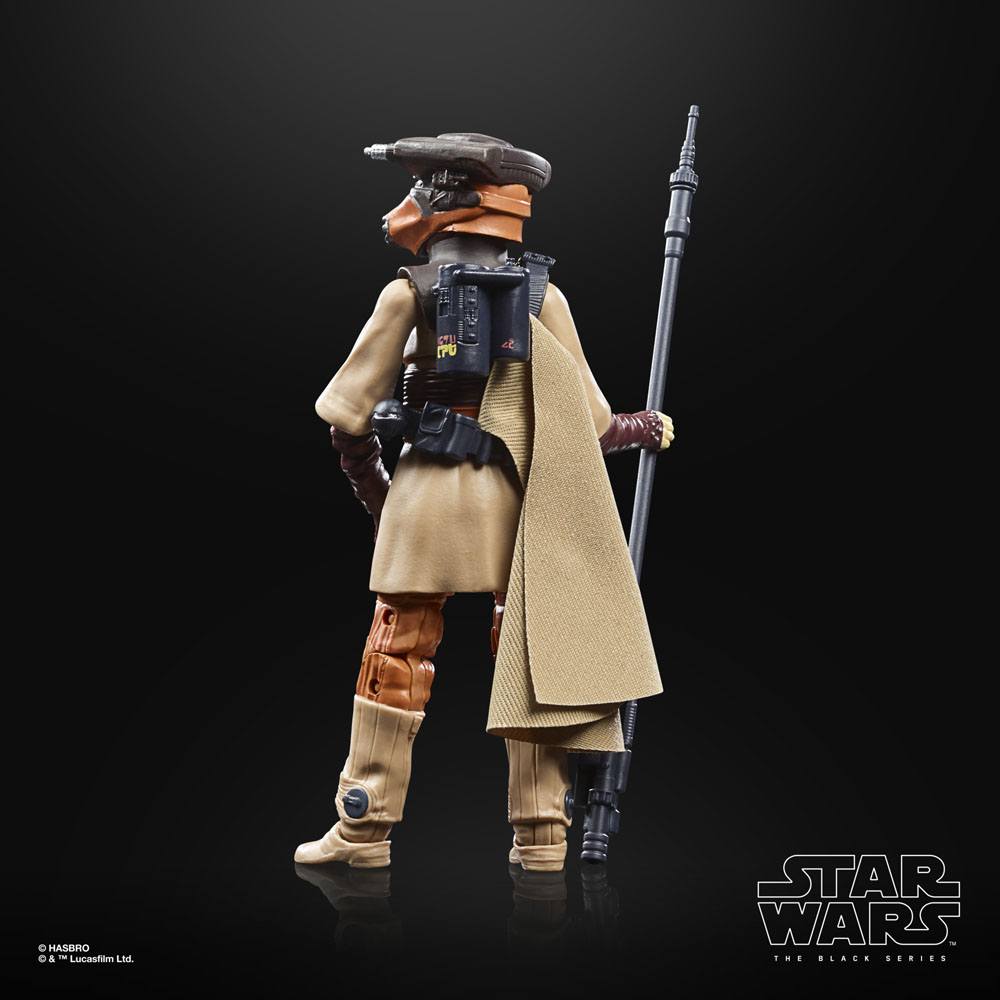 Hasbro Star Wars Episode VI Black Series Archive Action Figure 2022 Leia Organa (Boushh) by LAB7 Malta, Europe