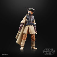 Hasbro Star Wars Episode VI Black Series Archive Action Figure 2022 Leia Organa (Boushh) by LAB7 Malta, Europe