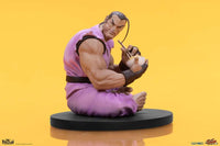 Premium Collectibles Studio Street Fighter PVC Statues 1/10 Ryu & Dan 18 cm by LAB7 Malta, Europe